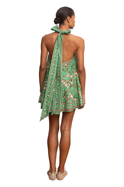 Fish Sticks Mini Dress