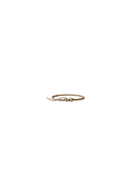 Salta Belt