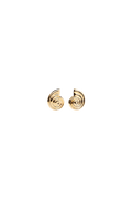 Sarah Shell Earrings