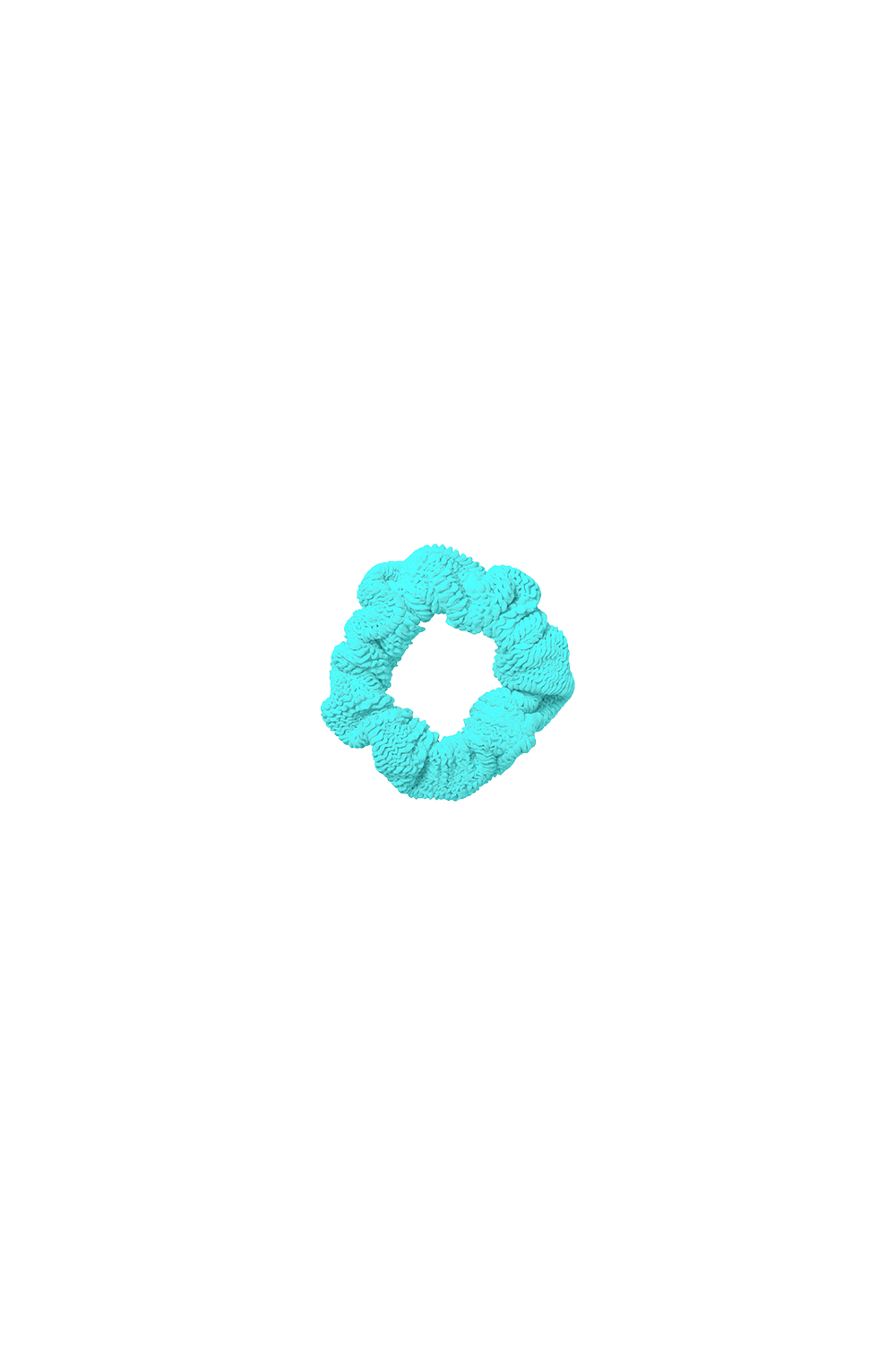 Scrunchie